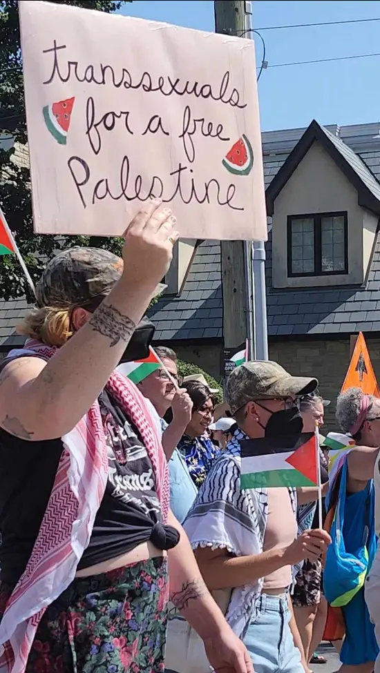 A vertical photograph taken at an outdoor parade/protest on a sunny day. In the foreground, a person with light skin and a tattooed forearm raises a handwritten cardboard sign above the crowd reading "transsexuals for a free Palestine" in cursive black lettering, decorated with two small illustrated watermelon slices. The sign-holder wears a camouflage baseball cap, a black medical mask, a black T-shirt (with "PROTECT [drawing of a knife] TRANS [drawing of a long stem rose] KIDS" on it), and a red-and-white checkered keffiyeh scarf draped around their neck. Around them, a dense crowd of people holds up small Palestinian flags (green, white, black, and red horizontal stripes with a red triangle), with an orange traffic sign and a light-colored two-story house with dark shingled roof visible in the background. Some people in the crowd are bare faced, while others are wearing black medical masks.