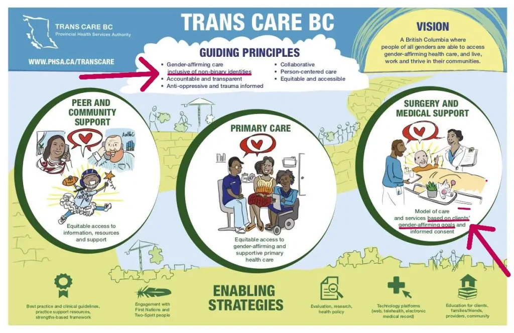 An infographic titled "Trans Care BC, Provincial Health Services Authority," with the website WWW.PHSA.CA/TRANSCARE listed under the logo (a BC outline) at top left.
At top center, "Guiding Principles" appears in a cloud shape listing: gender-affirming care inclusive of non-binary identities (underlined and pointed to by a pink arrow), accountable and transparent, anti-oppressive and trauma informed, collaborative, person-centered care, and equitable and accessible.
At top right, a "Vision" box reads: "A British Columbia where people of all genders are able to access gender-affirming health care, and live, work and thrive in their communities."
Below, three overlapping circular illustrations represent the program's core areas:
- Peer and Community Support (left): illustrated figures talking and connecting, with text "Equitable access to information, resources and support."
- Primary Care (center): an illustrated care provider meeting with a family/client group, with text "Equitable access to gender-affirming and supportive primary health care."
- Surgery and Medical Support (right): an illustrated clinical scene with a provider and patient, with text "Model of care and services based on clients' gender-affirming goals and informed consent" (underlined and pointed to by a second pink arrow).
At the bottom, under the heading "Enabling Strategies," five icons with captions list supporting elements: best practice and clinical guidelines, practice support resources, strengths-based framework; engagement with First Nations and Two-Spirit people; evaluation, research, health policy; technology platforms (web, telehealth, electronic medical record); and education for clients, families/friends, providers, community.
The background uses illustrated landscape elements (hills, water, small figures) in blue and green tones throughout.
