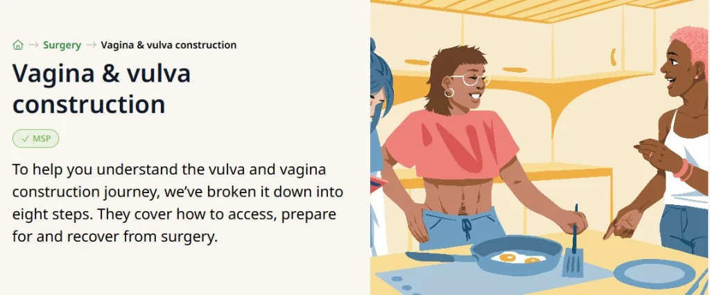 Home → Surgery → Vagina & vulva construction
Vagina & vulva construction
✓ MSP
To help you understand the vulva and vagina construction journey, we've broken it down into eight steps. They cover how to access, prepare for and recover from surgery.