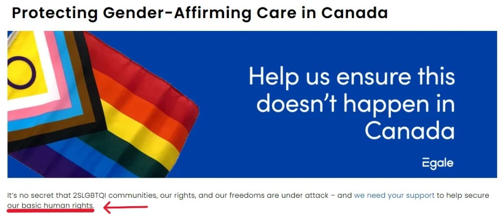 A web banner titled "Protecting Gender-Affirming Care in Canada" in bold black text at top. Below is a blue banner image showing the Progress Pride flag (rainbow stripes plus the trans-pride and intersex-inclusive chevron) waving on the left, with white text on the right reading "Help us ensure this doesn't happen in Canada" and the "Egale" logo underneath.
Below the banner, body text reads: "It's no secret that 2SLGBTQI communities, our rights, and our freedoms are under attack – and we need your support to help secure our basic human rights." The phrase "we need your support" is a hyperlink (shown in blue), and "our basic human rights" is underlined in red with a red arrow pointing to it, apparently added as an annotation to draw attention to that phrase.