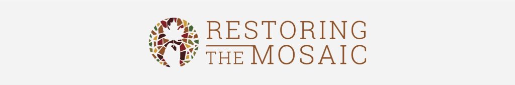 TRT World's Gender Wars in Canada: Restoring the Mosaic logo