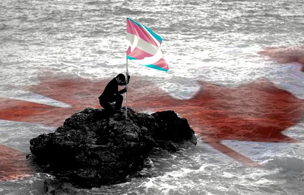 A stylized, mostly desaturated (black-and-white) photo illustration of a person kneeling on a small dark rocky outcrop in choppy ocean water, planting a trans pride flag (light blue, pink, and white stripes) into the rock. Overlaid on the water in the background is a faded red image of a large maple leaf (evoking the Canadian flag), giving the sea a blood-red tint. No text is present in the image itself.
