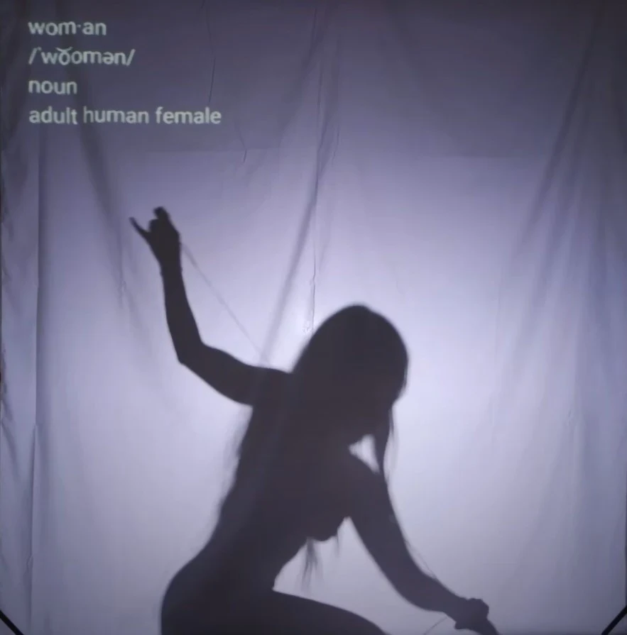 A photograph of a stage performance showing the backlit silhouette of a woam with long flowing hair, kneeling and reaching one arm upward while gripping strings or wires with both hands, set against a plain light-colored fabric backdrop illuminated from behind, creating a dramatic shadow effect. In the upper left corner, white text projected or overlaid on the backdrop reads a dictionary-style definition: "wom·an / ˈwo͝omən/ noun adult human female."