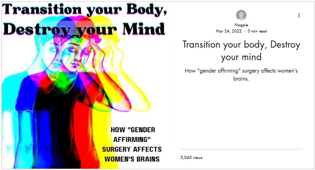 Personal Struggles, Agnès Varda and the Tragedy in Minneapolis - Title image of Transition your Body, Destroy your Mind, by Magpie (Gender Dissent, March 2022)