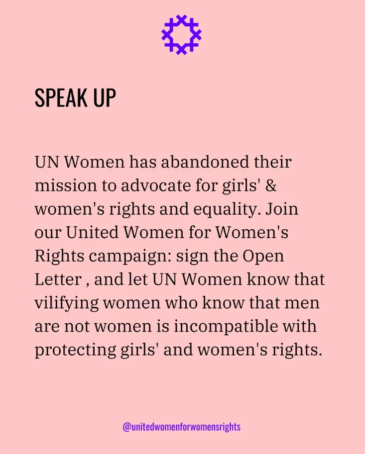 A pink graphic with a purple star-shaped icon at top. Bold black text reads "SPEAK UP." Below: "UN Women has abandoned their mission to advocate for girls' & women's rights and equality. Join our United Women for Women's Rights campaign: sign the Open Letter , and let UN Women know that vilifying women who know that men are not women is incompatible with protecting girls' and women's rights." At the bottom, in purple text: "@unitedwomenforwomensrights."