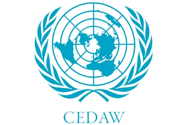 The official United Nations emblem — a white world map framed by olive branches — in light blue, with "CEDAW" written in bold blue letters beneath it.