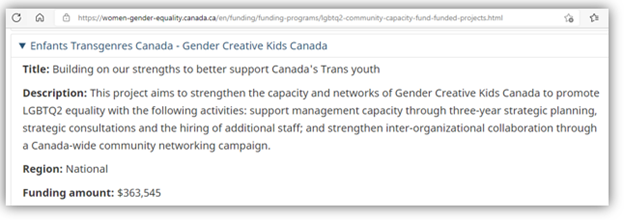 Enfants Transgenres Canada - Gender Creative Kids Canada
Title: Building on our strengths to better support Canada's Trans youth
Description: This project aims to strengthen the capacity and networks of Gender Creative Kids Canada to promote LGBTQ2 equality with the following activities: support management capacity through three-year strategic planning, strategic consultations and the hiring of additional staff; and strengthen inter-organizational collaboration through a Canada-wide community networking campaign.
Region: National
Funding amount: $363,545