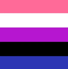 gender fluid flag: A rectangular flag graphic with five horizontal stripes: pink at top, white below it, purple/magenta in the middle, black below that, and blue at the bottom.