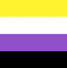 Nonbinary flag: A rectangular flag graphic with four equal horizontal stripes: yellow at top, white below it, purple below that, and black at the bottom.