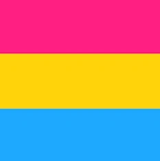 Pansexual flag: A rectangular flag graphic with three equal horizontal stripes: magenta/pink at top, yellow in the middle, and cyan/light blue at the bottom.
