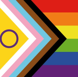 A rectangular flag graphic combining the traditional six-stripe rainbow flag (red, orange, yellow, green, blue, purple) on the right two-thirds with a triangular chevron shape pointing rightward on the left side. The chevron contains, from outer to inner point: black, brown, light blue, pink, and white stripes, with a solid yellow triangular field at the innermost point containing a purple circle outline, representing the intersex flag symbol.