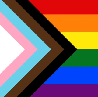 A rectangular flag graphic combining the traditional six-stripe rainbow flag (red, orange, yellow, green, blue, purple) on the right two-thirds with a triangular chevron shape pointing rightward on the left side, containing five stripes: light blue, pink, white, pink, and brown, with a black stripe as the outermost point of the chevron, representing the transgender flag colors plus stripes representing people of color. Progress Flag.