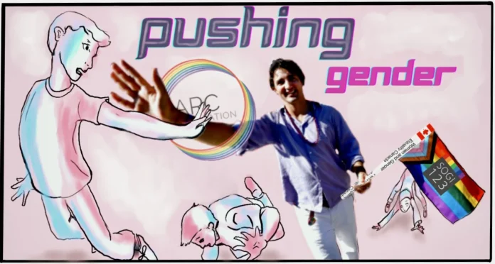 pushing gender justin trudeau and the arc foundation. The image shows a floating young person in the baby blue, baby pink and white colours of the trans flag high-fiving Justin Trudeau.