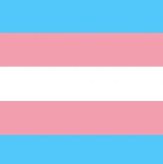 A rectangular flag graphic with five horizontal stripes of equal height: light blue, pink, white, pink, and light blue, from top to bottom. The trans flag designed by a man who went by the name Monica Helms.